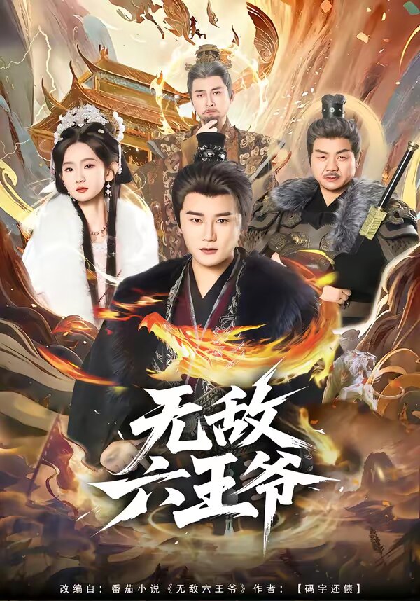无敌六王爷海报