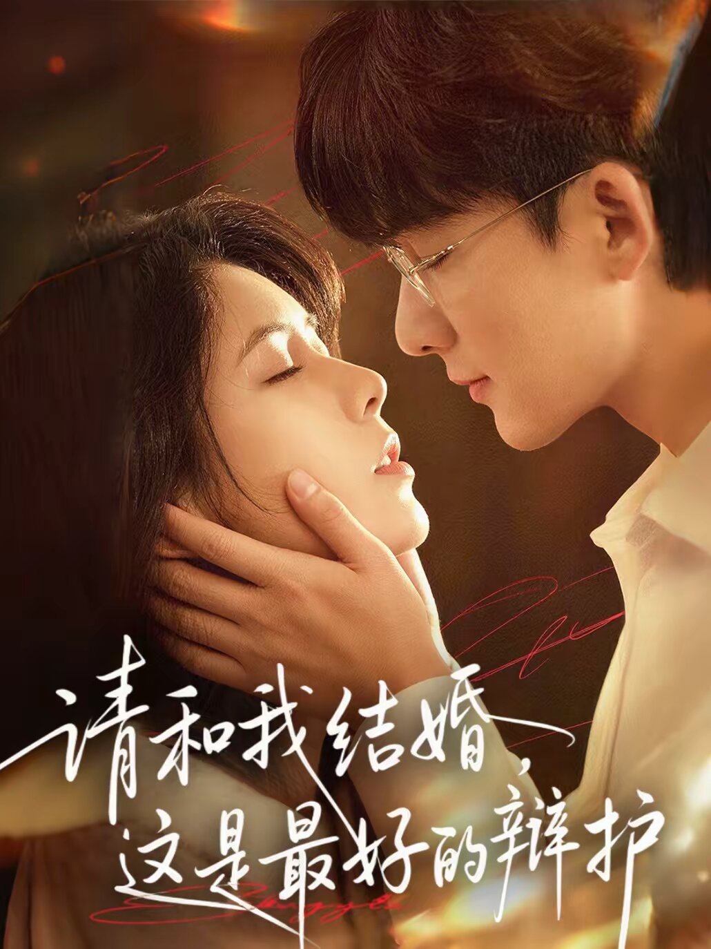 请和我结婚,这是最好的辩护海报