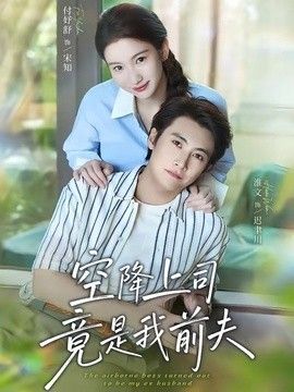空降上司竟是我前夫海报
