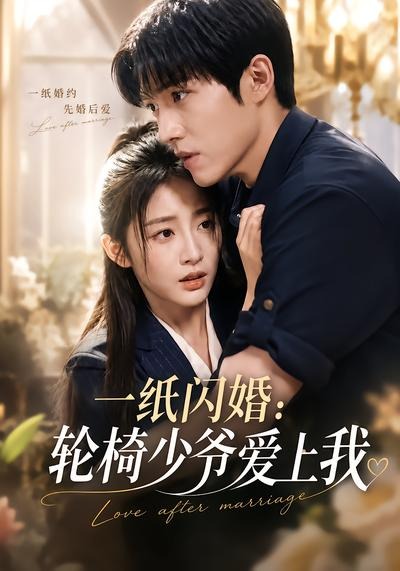 一纸闪婚:轮椅少爷爱上我海报