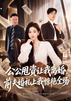 公公甩资让我离婚,前夫婚礼上我惊艳全场海报