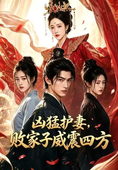 凶猛护妻,败家子威震四方海报
