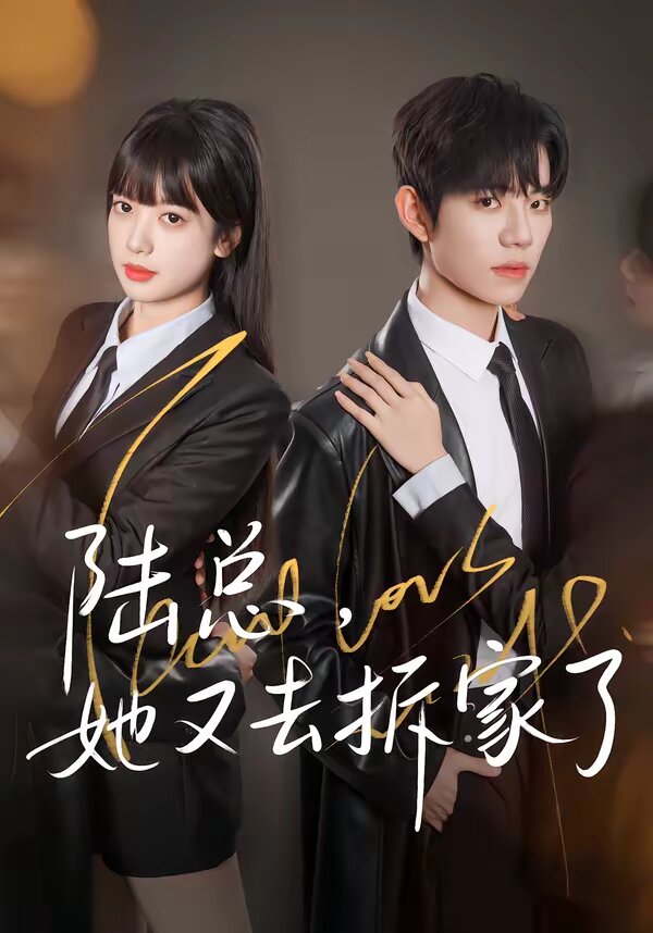 陆总,她又去拆家了海报