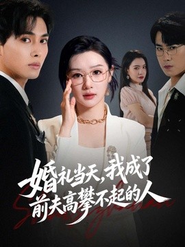 婚礼当天,我成了前夫高攀不起的人海报