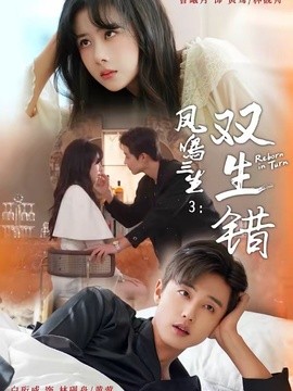 凤鸣三生3:双生错海报