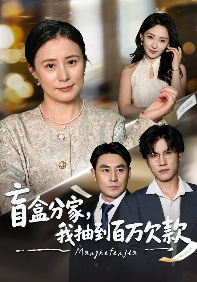 盲盒分家,我抽到百万欠款海报