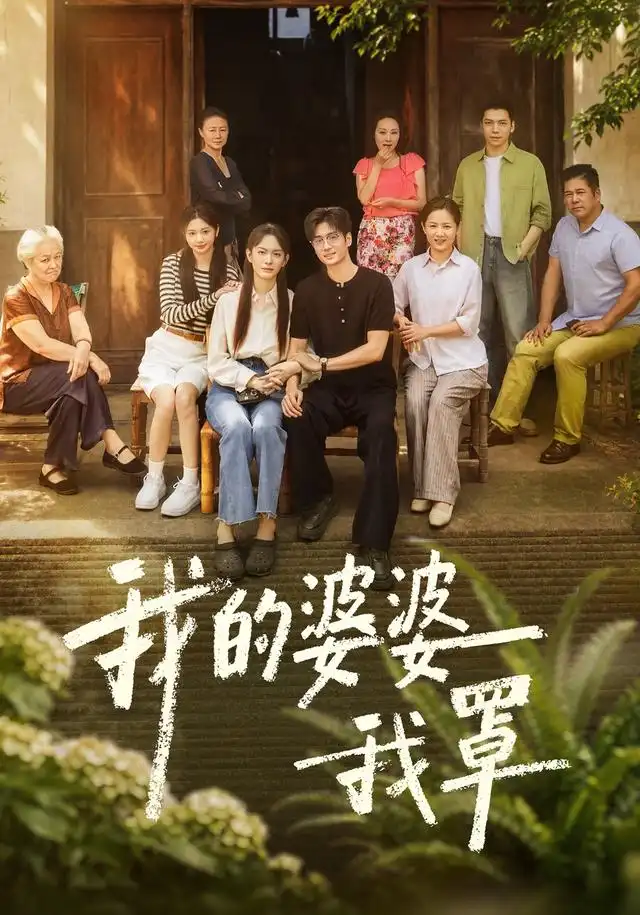 我的婆婆我罩海报