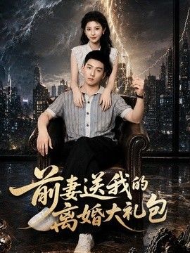 前妻送我的离婚大礼包海报