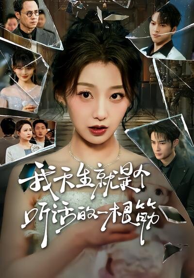 我天生就是个听话的一根筋海报