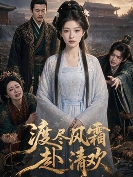 渡尽风霜赴清欢海报