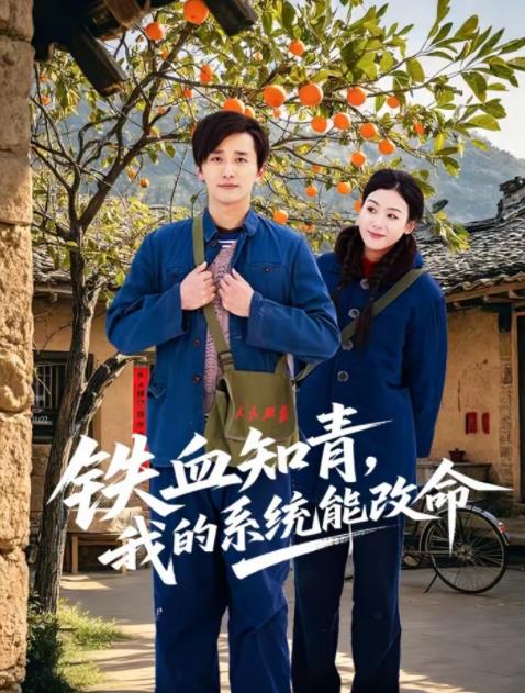 铁血知青,我的系统能改命海报