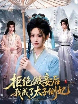 拒绝做妾后我成了太子侧妃海报