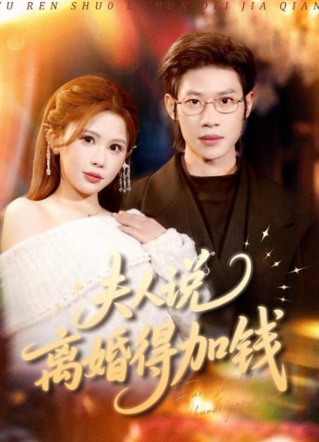 夫人说离婚得加钱海报