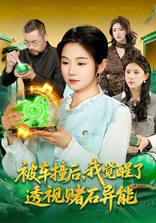 被车撞后,我觉醒了透视赌石异能了海报