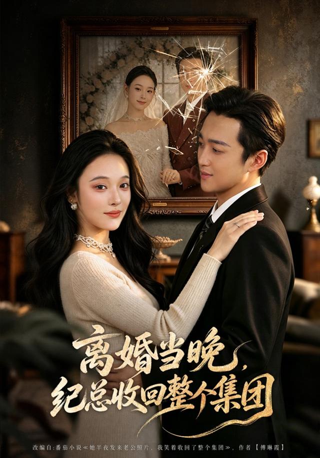 离婚当晚,纪总收回整个集团海报