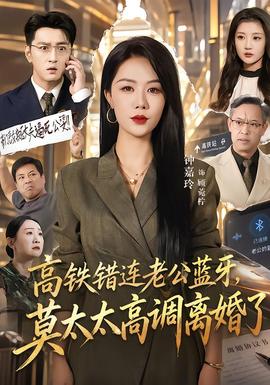 高铁错连老公蓝牙,莫太太高调离婚了海报