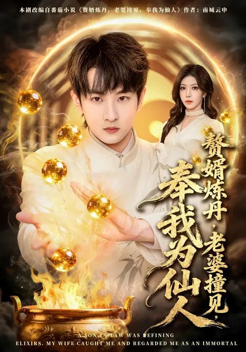 赘婿炼丹,老婆撞见,奉我为仙人海报