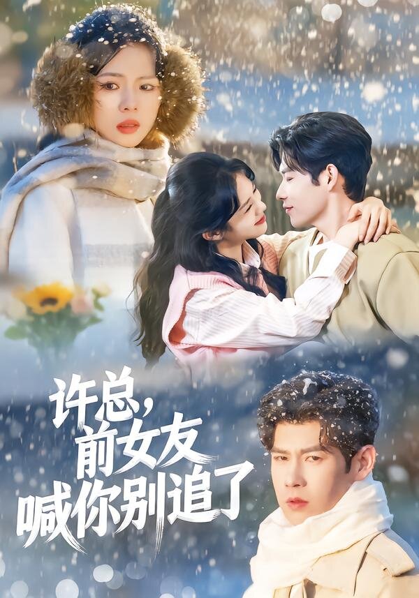 许总,前女友喊你别追了海报