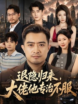 退隐归来,大佬他专治不服海报