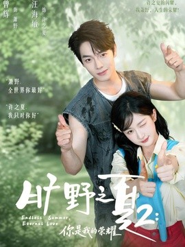 旷野之下2:你是我的荣耀海报