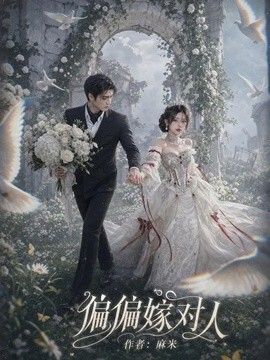 偏偏嫁对人海报