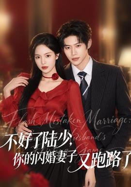 不好了陆少,你的闪婚妻子又跑路了海报