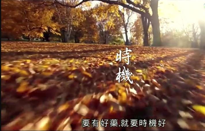 神奇百草游海报