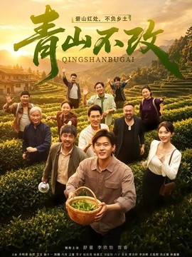 青山不改海报
