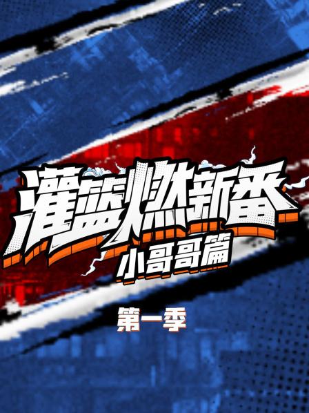 灌篮燃新番 小哥哥篇海报