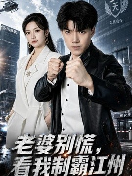 老婆别慌,看我制霸江州海报