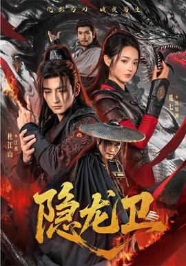 隐龙卫海报