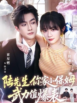 陆先生,你家小保姆武力值爆表海报