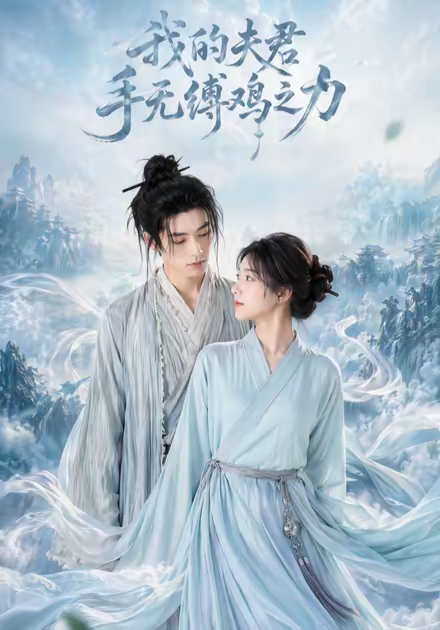 我的夫君手无缚鸡之力海报