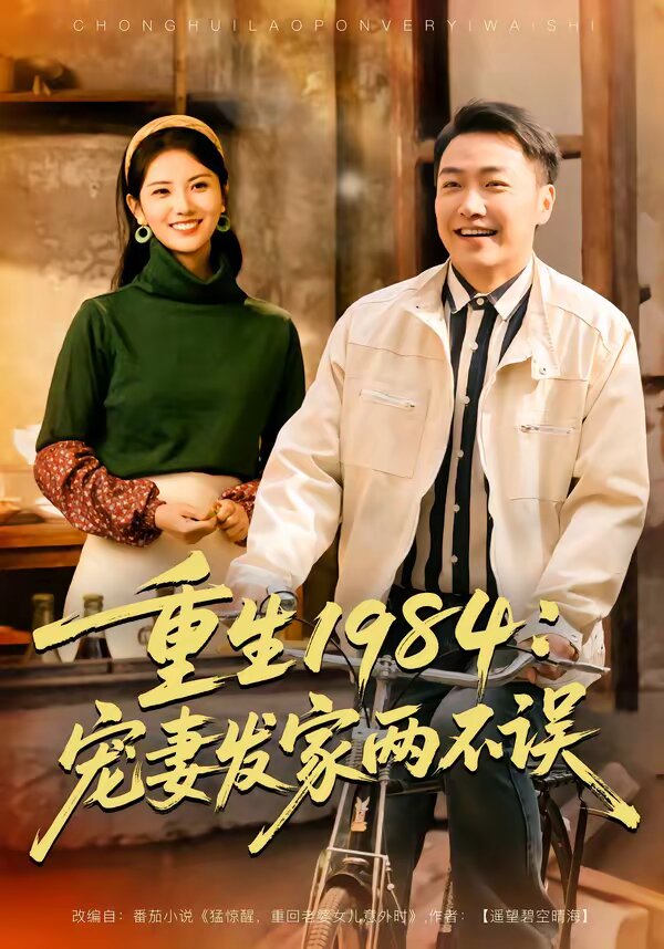 重生1984:宠妻发家两不误海报