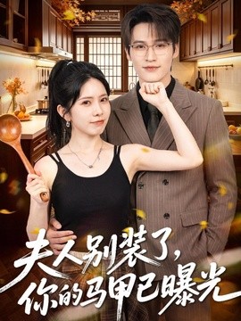 夫人别装了,你的马甲已曝光海报