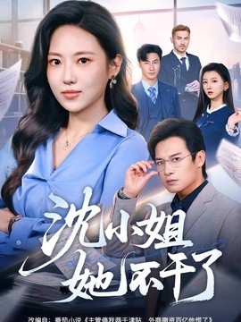 沈小姐她不干了海报