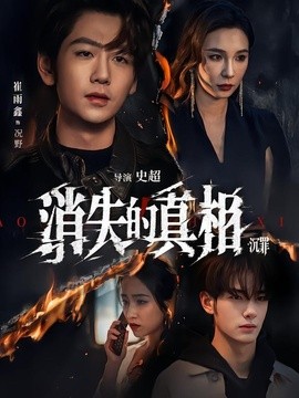 消失的真相·沉罪海报