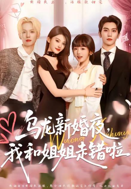 乌龙新婚夜,我和姐姐走错啦海报