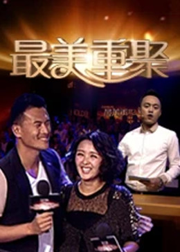 最美重聚海报