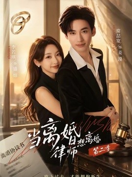 当离婚律师想离婚海报