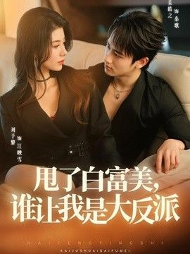 甩了白富美,谁让我是大反派海报