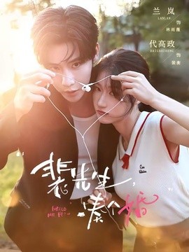 裴先生,凑个婚海报