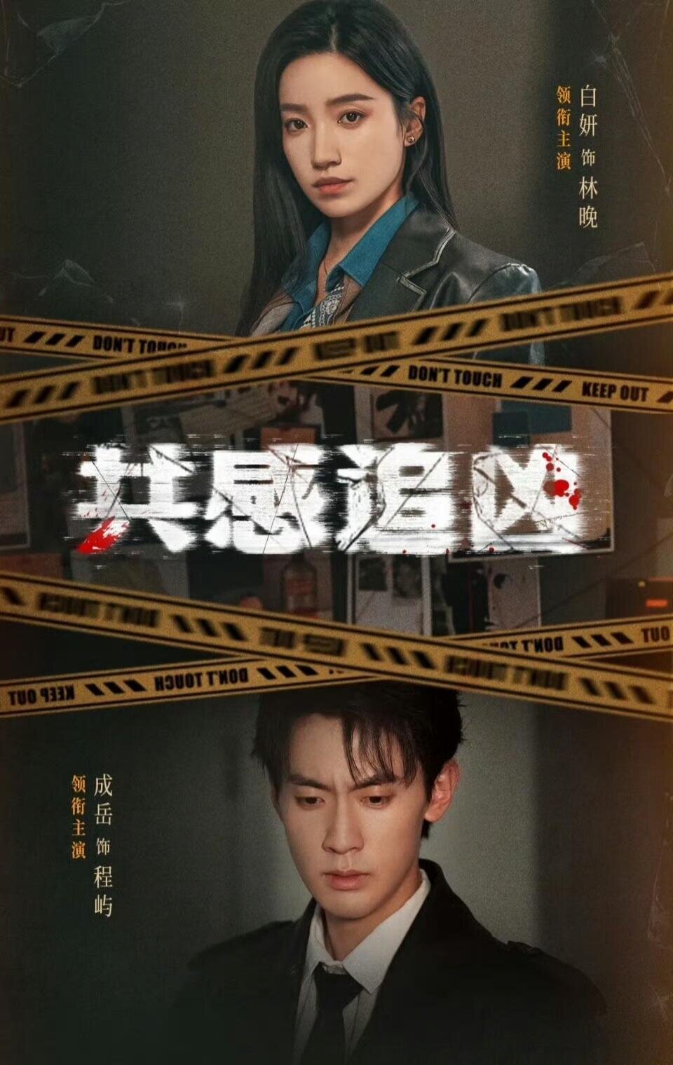 共感追凶海报