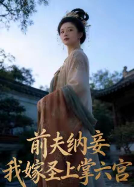 前夫纳妾,我嫁圣上掌六宫海报