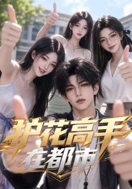 护花高手在都市海报