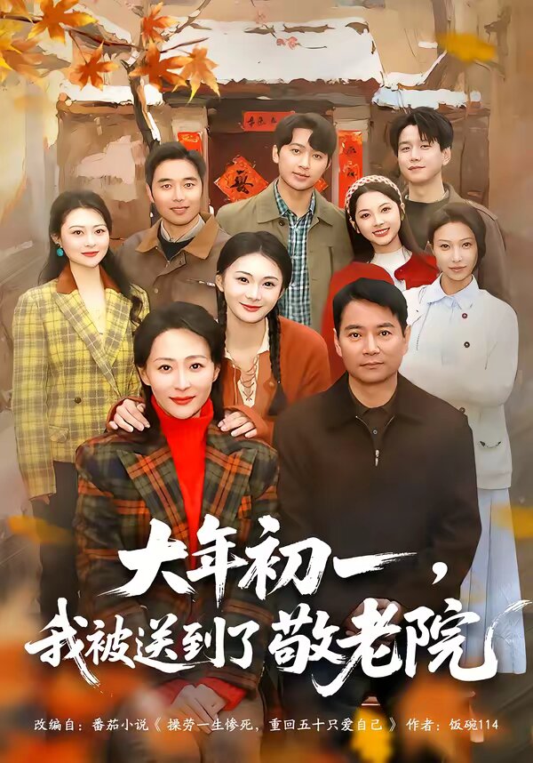 大年初一,我被送到了敬老院海报