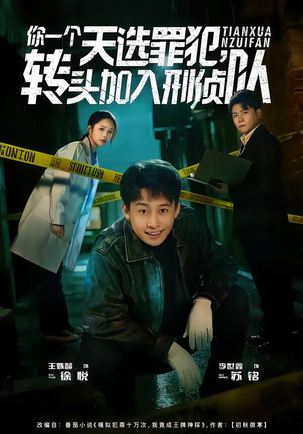 你一个天选罪犯,转头加入刑侦队海报