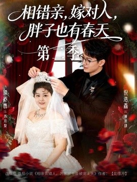 相错亲,嫁对人,胖子也有春天海报