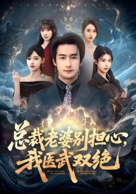 总裁老婆别担心,我医武双绝海报