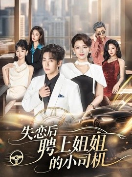 失恋后聘上姐姐的小司机.海报